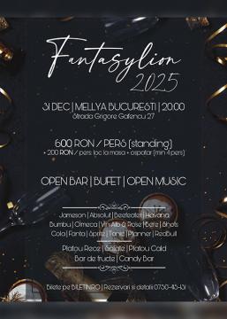 Fantasylion - New Year's Fusion Party