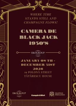 Închiriază Camera de Black Jack – Art. History. Experience. la EkoGroup Vila