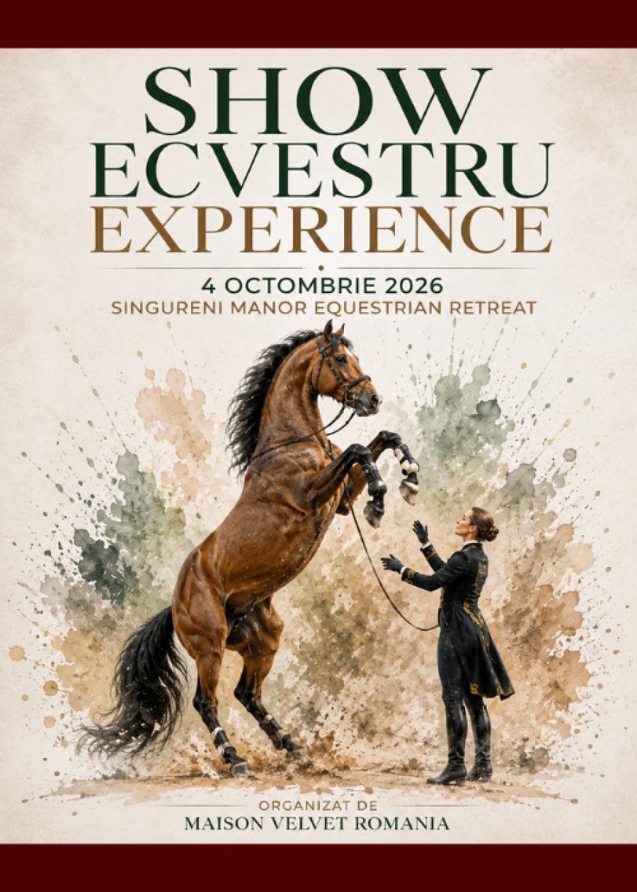 Equestrian Show Experience